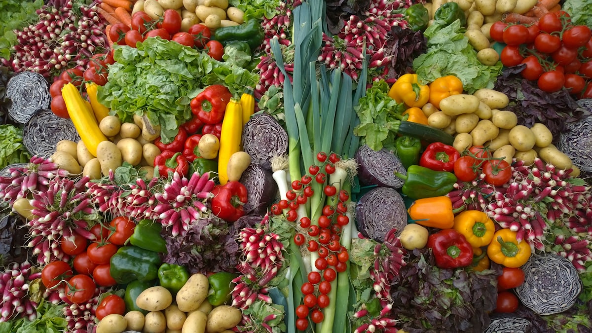 Nutrizione moderna e ricette salutari